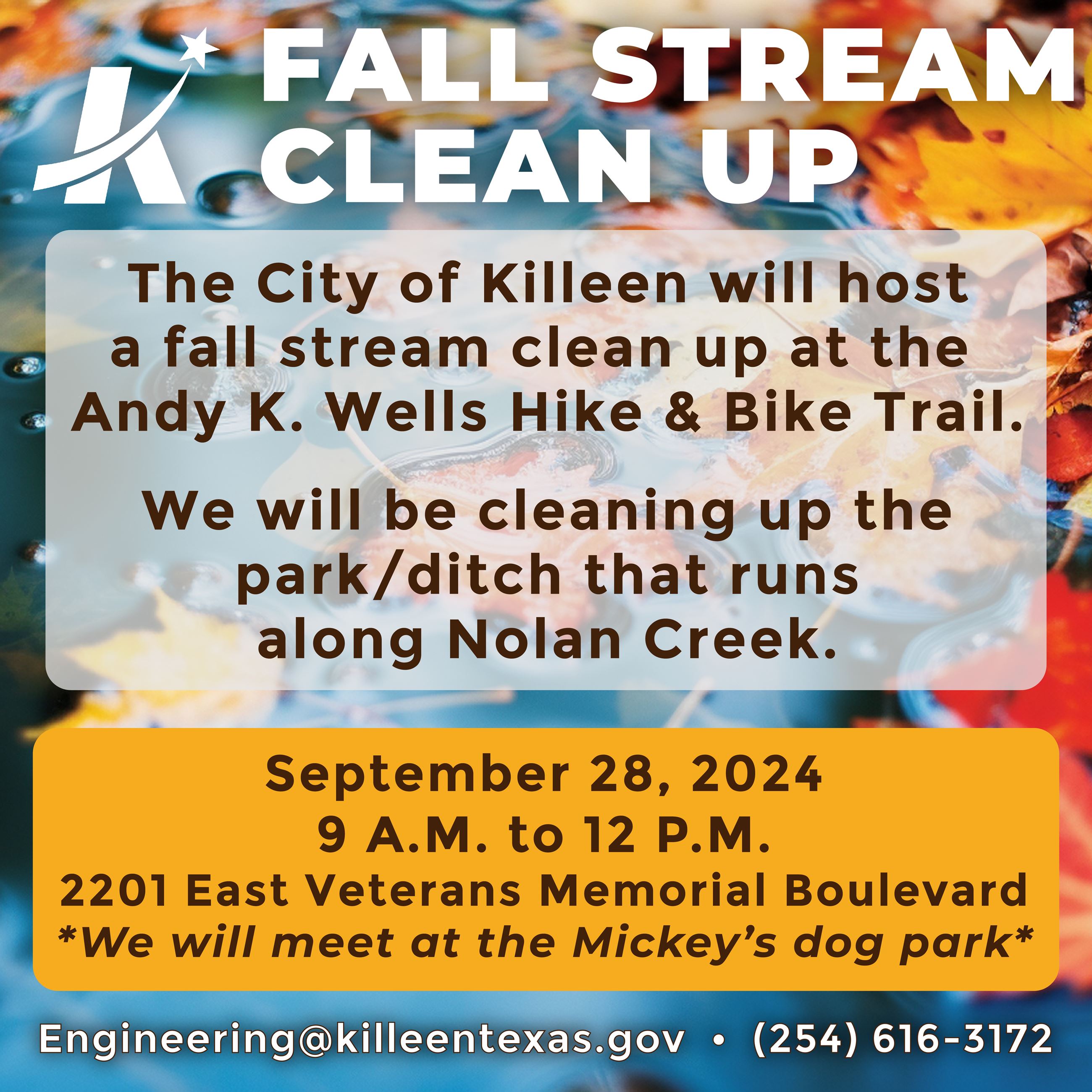 Fall Stream Cleanup 2024_(JPG)